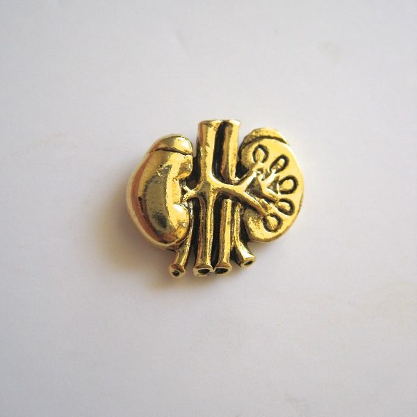 gold-plated-anatomical-kidney-lape-pin