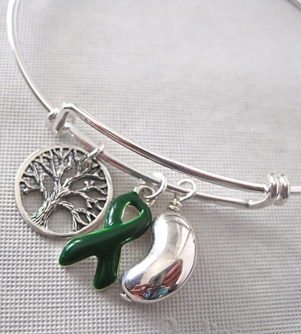 kidney-transplant-charm-bangle-bracelet